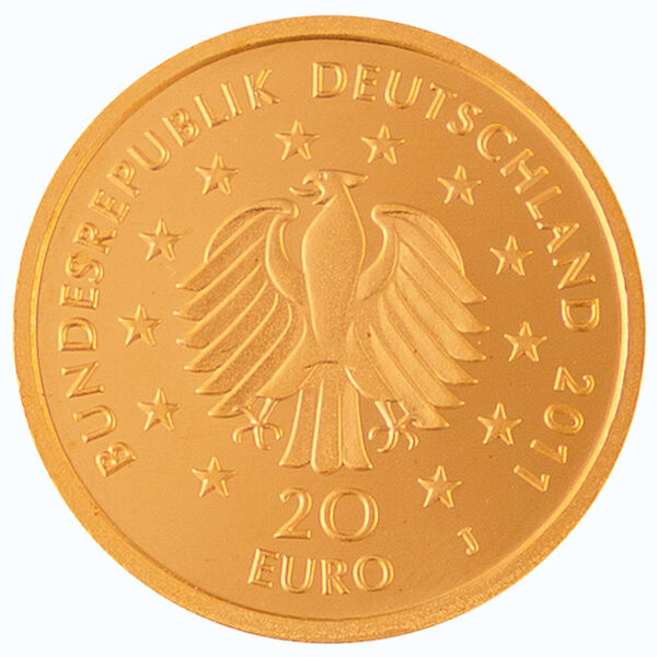 Rückseite der 20 Euro Goldmünze Deutscher Wald 2011 mit Buchenmotiv