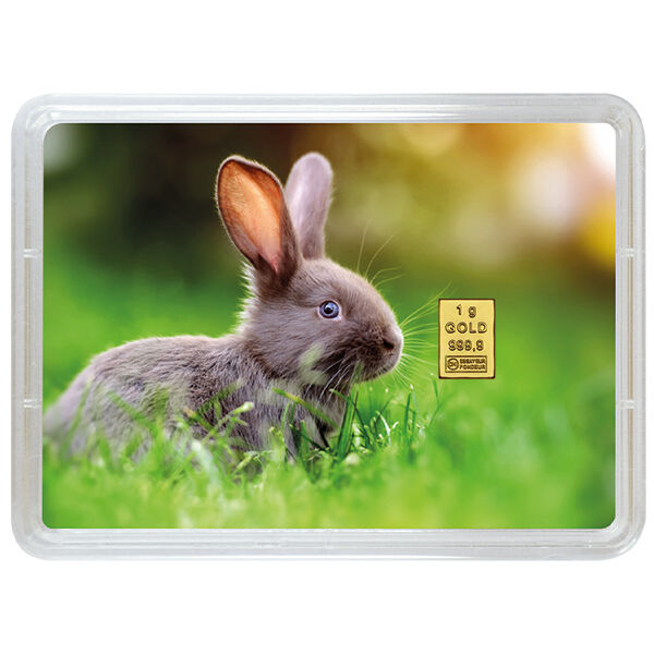 1 g Goldbarren in einer dekorativen Flip-Motivkarte mit einem Hasenmotiv auf einer Wiese, als Ostergeschenk gestaltet
