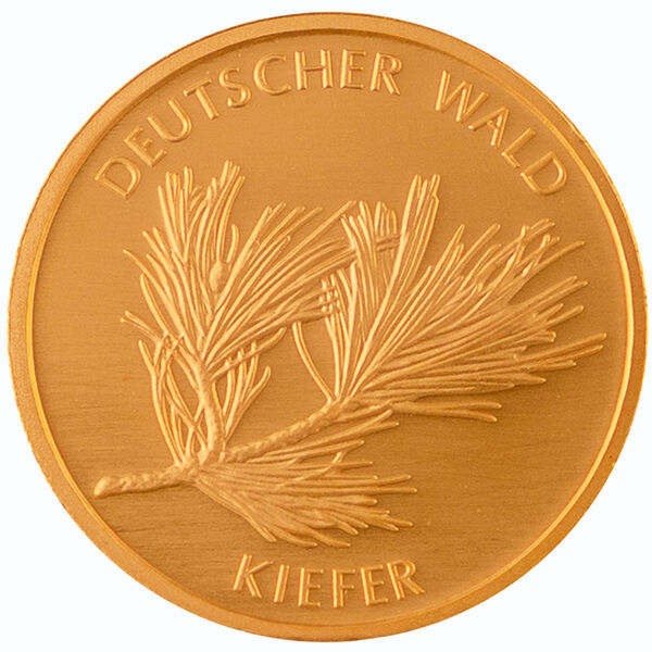 Vorderseite der 20 Euro Goldmünze Deutscher Wald 2013 mit Bundesadler, Nennwert und Prägejahr