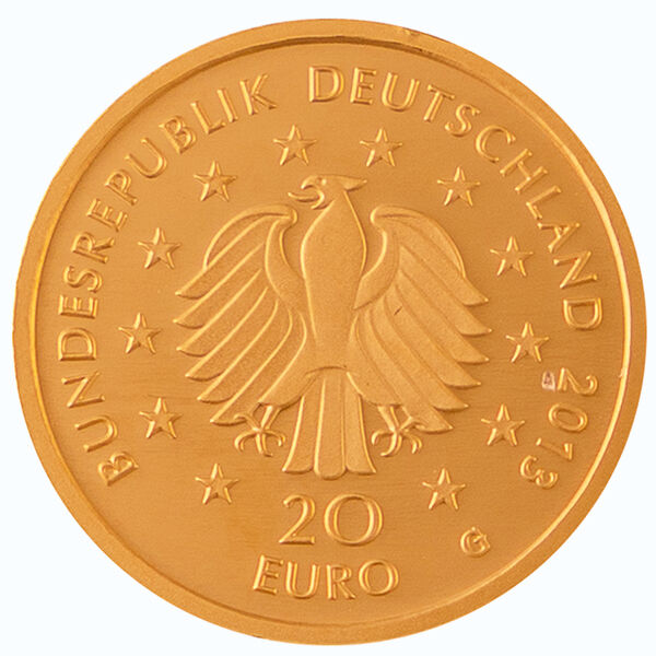 Rückseite der 20 Euro Goldmünze Deutscher Wald 2013 mit Kiefernmotiv