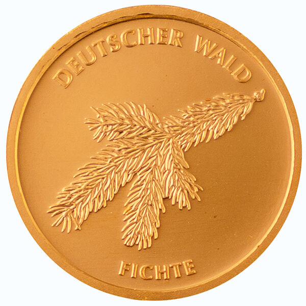 Vorderseite der 20 Euro Goldmünze Deutscher Wald 2012 mit Bundesadler, Nennwert und Prägejahr
