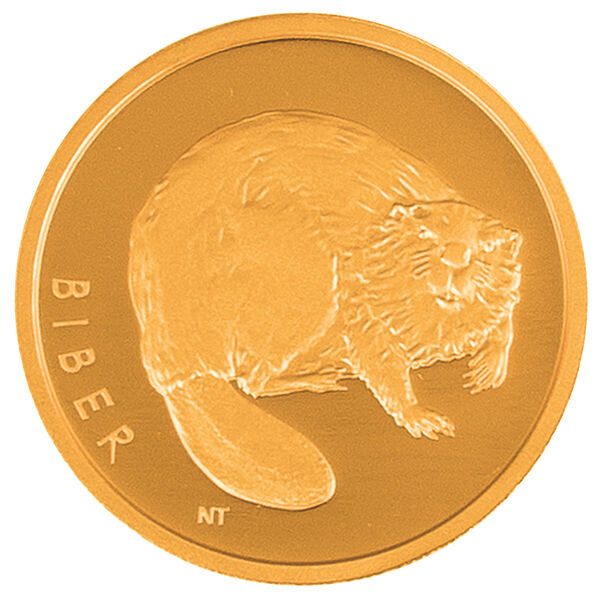 1/8 Unze Goldmünze 20 Euro Rückkehr der Wildtiere Biber 2024