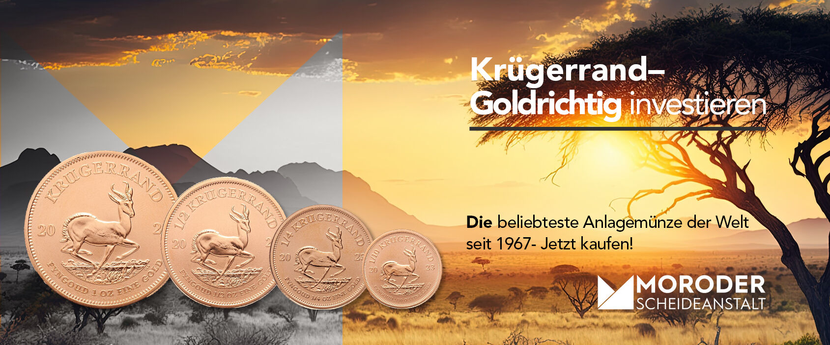 Krügerrand Goldmünzen sind bei Anlegern besonders beliebt und in verschiedenen Stückelungen verfügbar