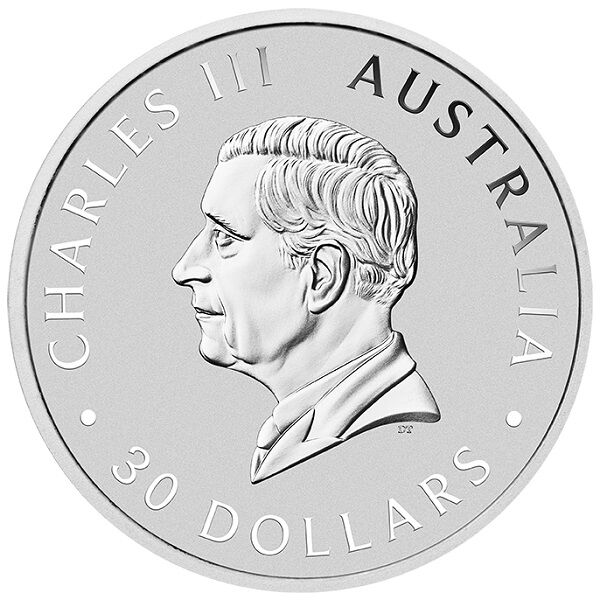 1 kg Silbermünze Koala 2025 Rückseite Moroder Scheideanstalt 1 kg Silbermünze Koala 2025 Rückseite Moroder Scheideanstalt