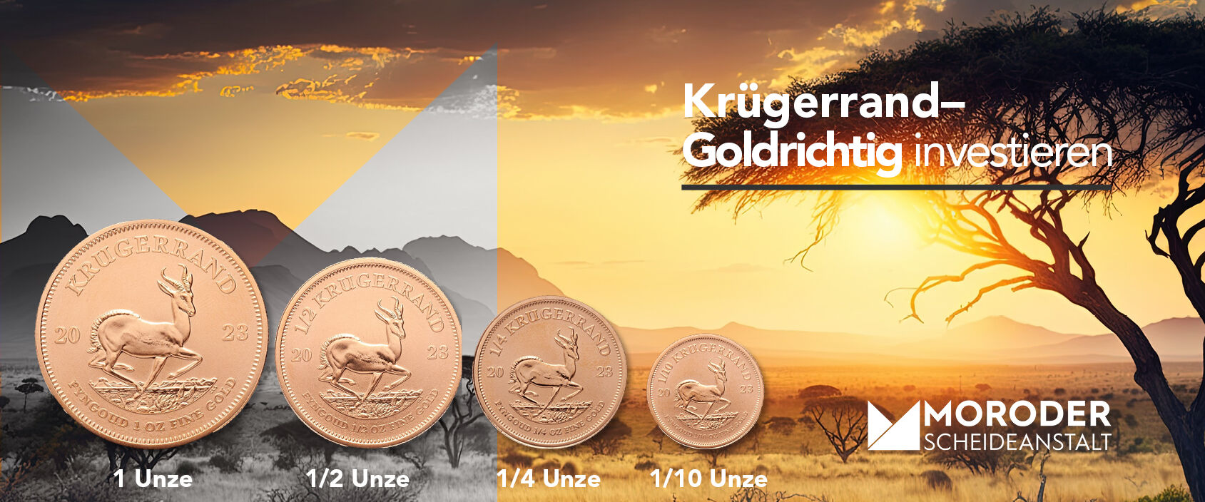 Übersicht verschiedener Krügerrand Goldmünzen in unterschiedlichen Stückelungen
