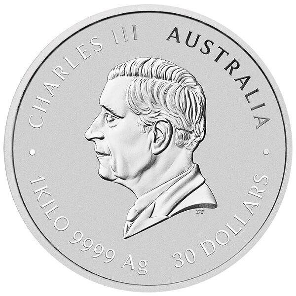 1 kg Silbermünze Lunar III Schlange 2025 Rückseite Moroder Scheideanstalt 1 kg Silbermünze Lunar III Schlange 2025 Rückseite Moroder Scheideanstalt