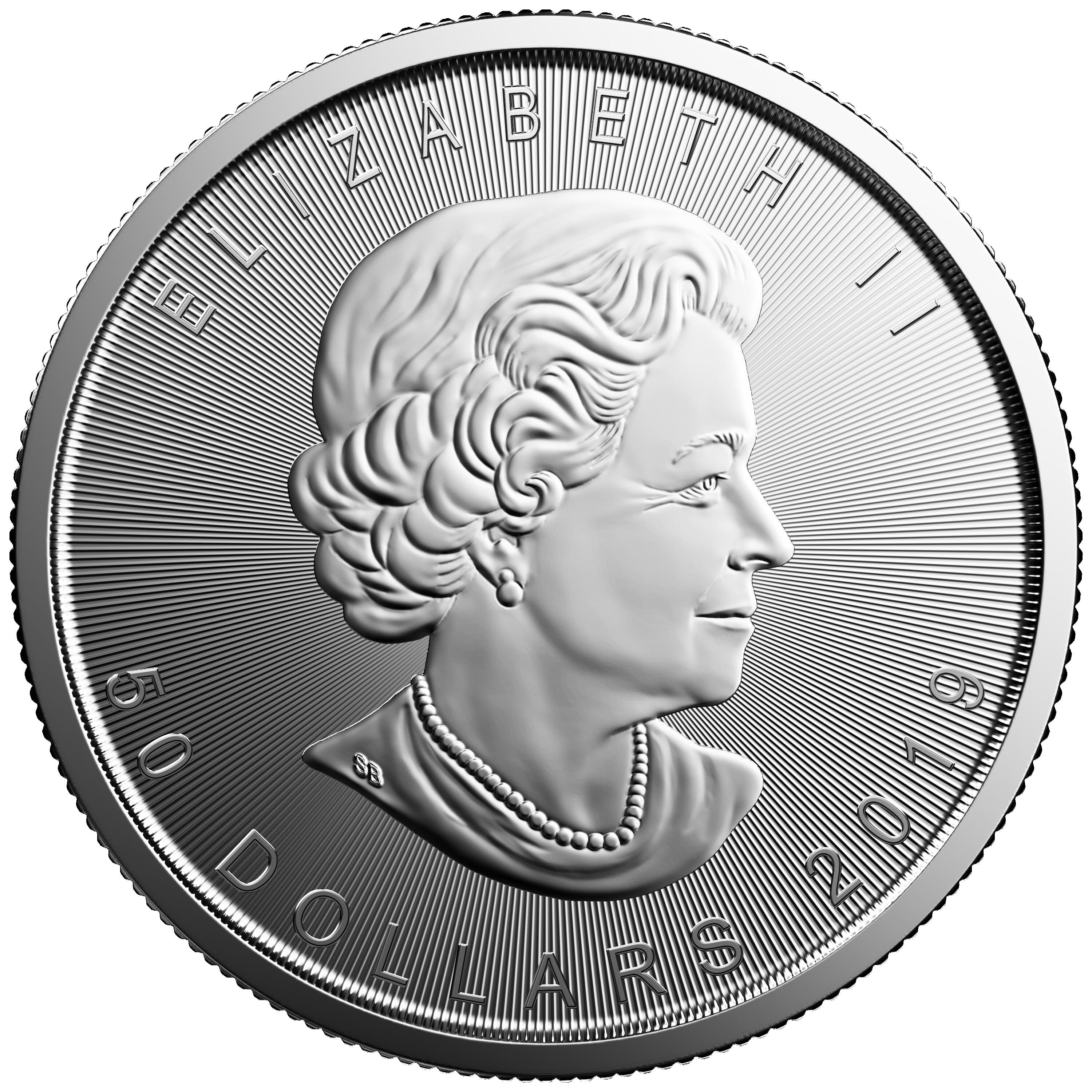 Detail der Vorderseite der Maple Leaf Platinmünze 1 Unze 2019 mit Porträt von Queen Elizabeth II. und Nennwert 50 Dollar