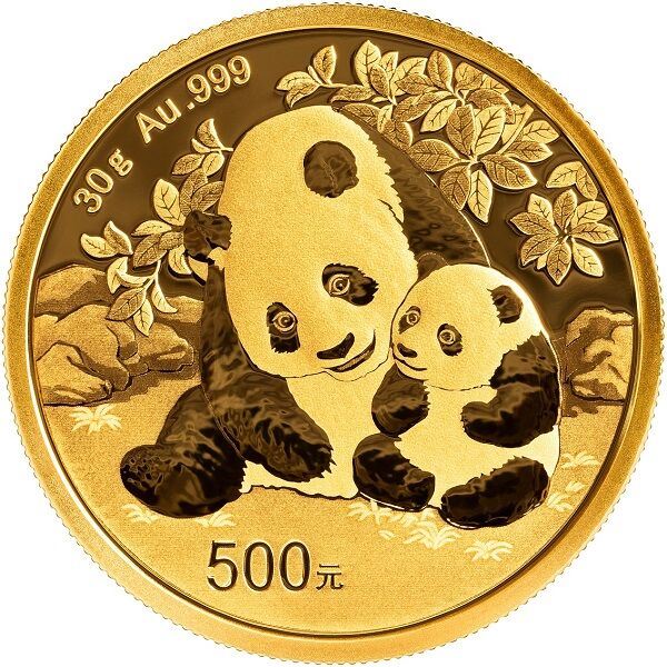 China Panda Gold 30g 2024 Vorderseite Moroder Scheideanstalt